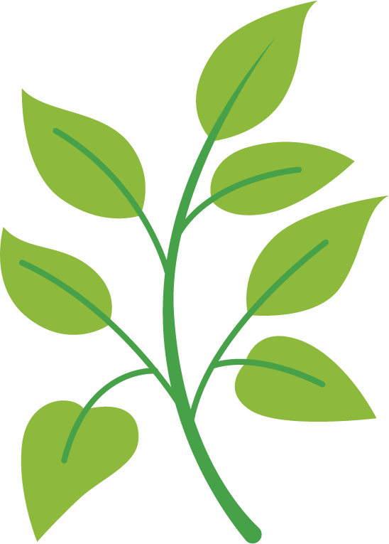 Hojas verdes